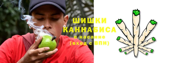 ГАЛЛЮЦИНОГЕННЫЕ ГРИБЫ Семилуки