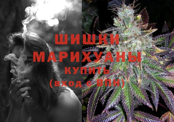 ГАЛЛЮЦИНОГЕННЫЕ ГРИБЫ Семилуки